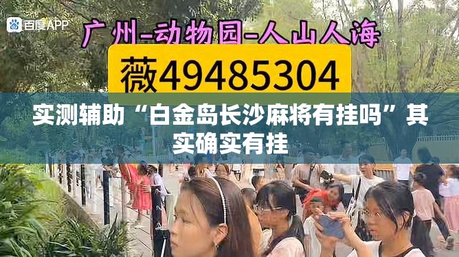 实测辅助“白金岛长沙麻将有挂吗”其实确实有挂