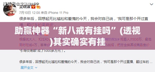 助赢神器“新八戒有挂吗”(透视)其实确实有挂