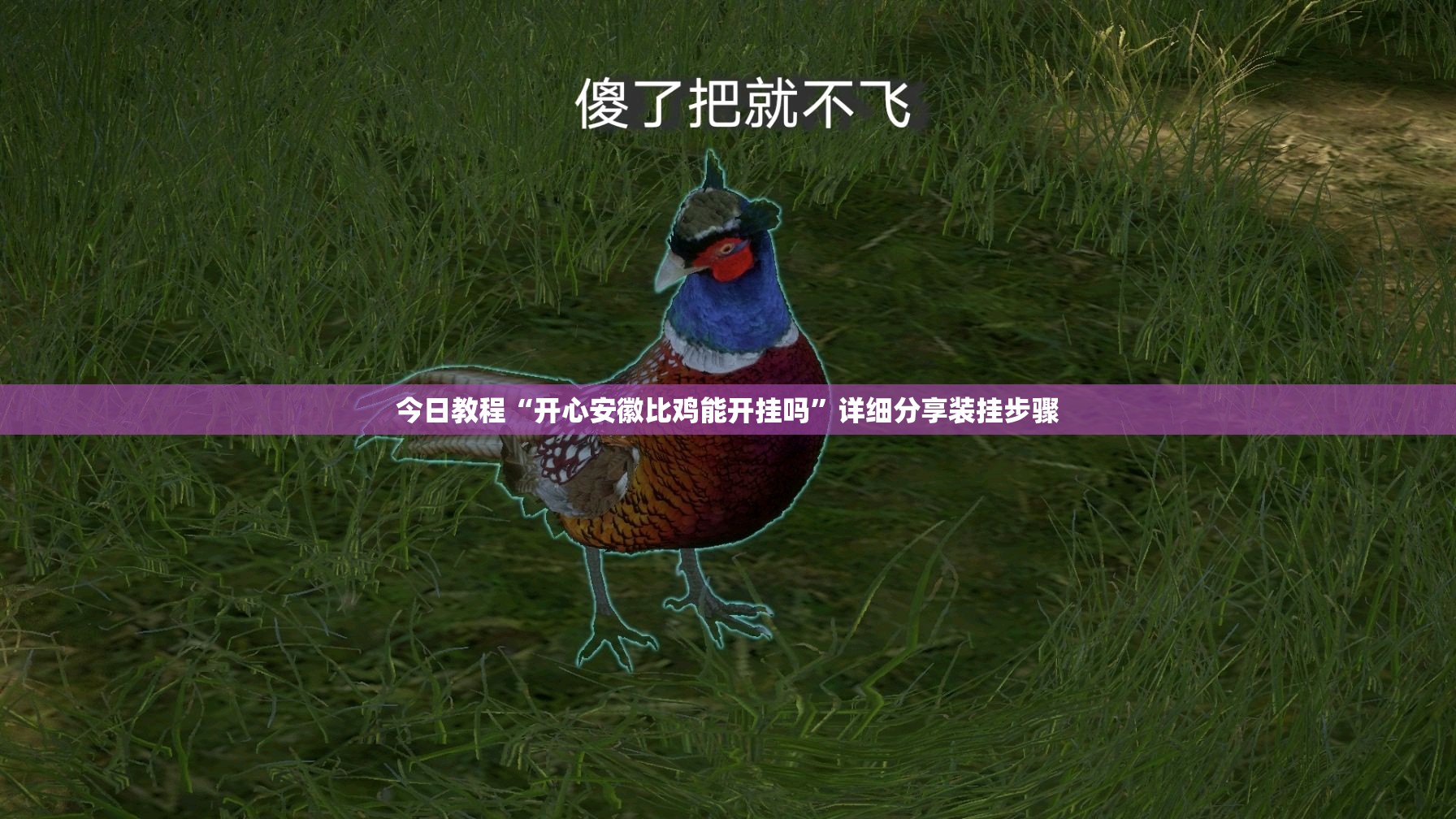 今日教程“开心安徽比鸡能开挂吗”详细分享装挂步骤