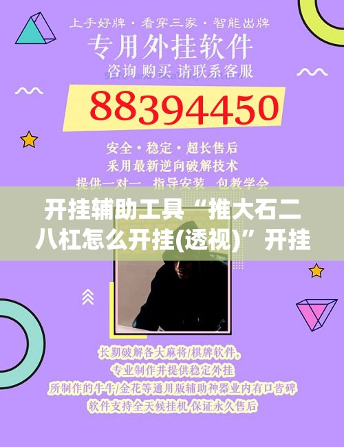 开挂辅助工具“推大石二八杠怎么开挂(透视)	”开挂辅助脚本+详细开挂安装教程
