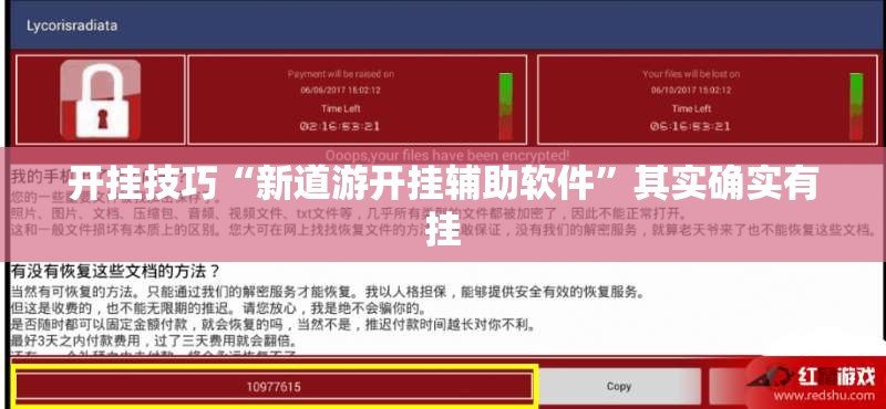 开挂技巧“新道游开挂辅助软件”其实确实有挂