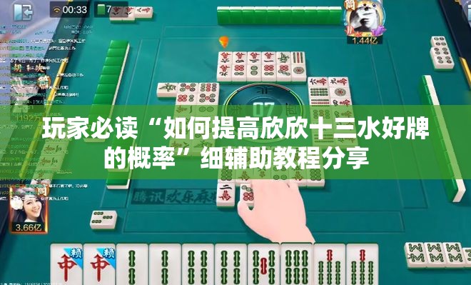 玩家必读“如何提高欣欣十三水好牌的概率”细辅助教程分享