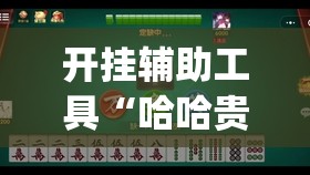 开挂辅助工具“哈哈贵阳麻将有挂吗(透视)”开挂辅助脚本+详细开挂安装教程