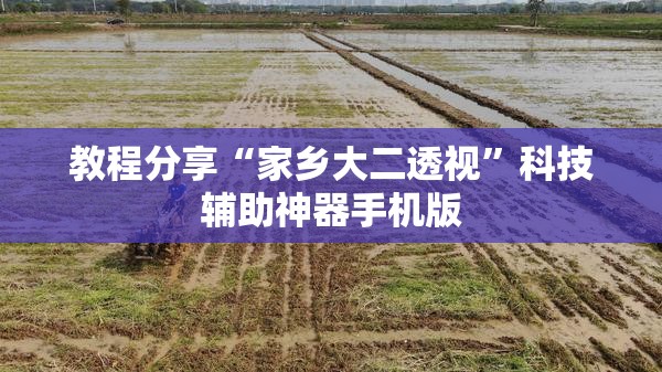 教程分享“家乡大二透视”科技辅助神器手机版