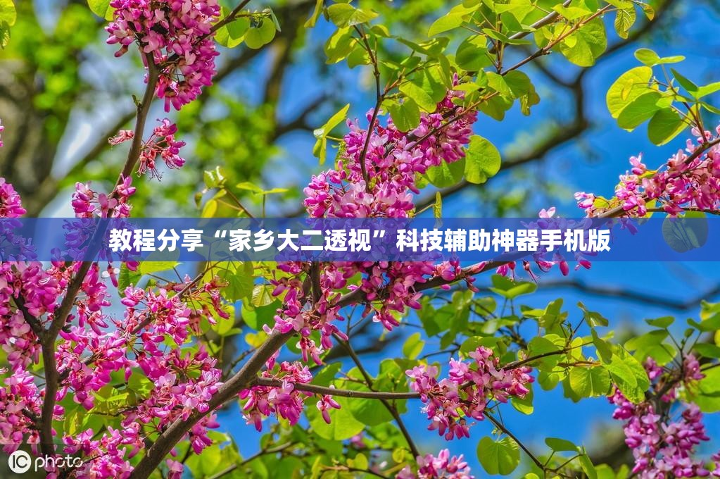 教程分享“家乡大二透视”科技辅助神器手机版