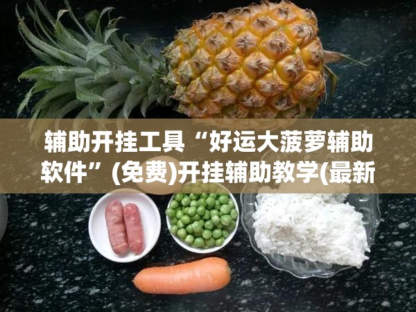 辅助开挂工具“好运大菠萝辅助软件	”(免费)开挂辅助教学(最新辅助开挂教程)
