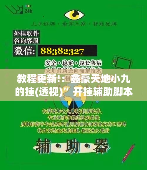 教程更新!：鑫豪天地小九的挂(透视)”开挂辅助脚本+详细开挂安装教程