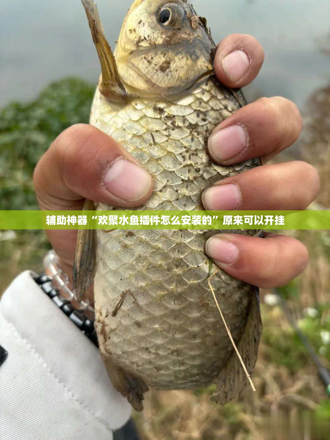 辅助神器“欢聚水鱼插件怎么安装的”原来可以开挂
