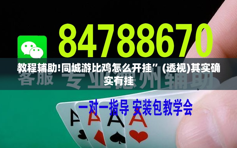 教程辅助!同城游比鸡怎么开挂	”(透视)其实确实有挂