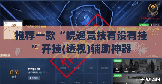 推荐一款“皖逸竞技有没有挂”开挂(透视)辅助神器