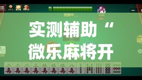 实测辅助“微乐麻将开免费的挂(透视)	”开挂辅助脚本+详细开挂安装教程