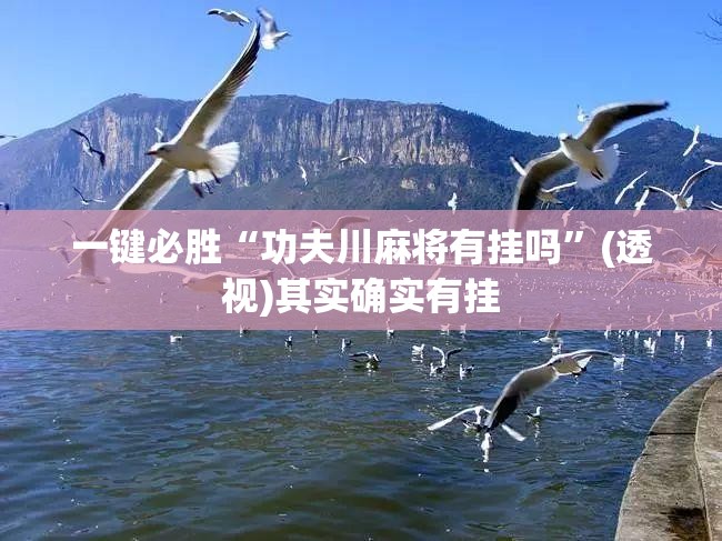一键必胜“功夫川麻将有挂吗”(透视)其实确实有挂