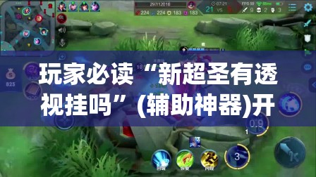玩家必读“新超圣有透视挂吗	”(辅助神器)开挂详细教程