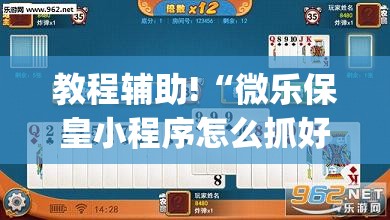 教程辅助!“微乐保皇小程序怎么抓好牌(透视)”开挂辅助脚本+详细开挂安装教程