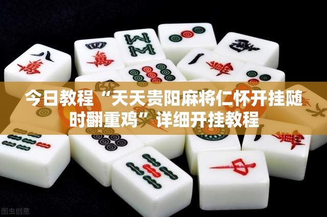 今日教程“天天贵阳麻将仁怀开挂随时翻重鸡	”详细开挂教程