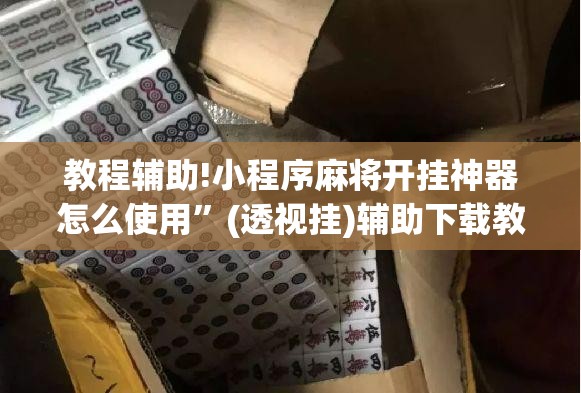 教程辅助!小程序麻将开挂神器怎么使用”(透视挂)辅助下载教程