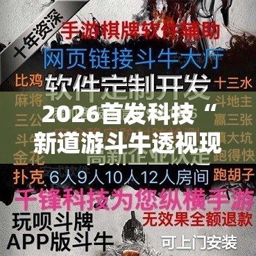 2026首发科技“新道游斗牛透视现场安装”详细开挂教程