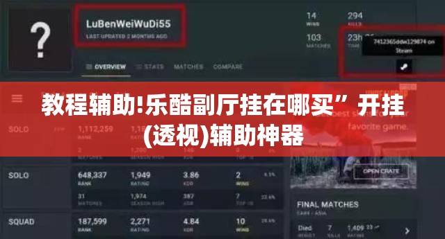 教程辅助!乐酷副厅挂在哪买”开挂(透视)辅助神器