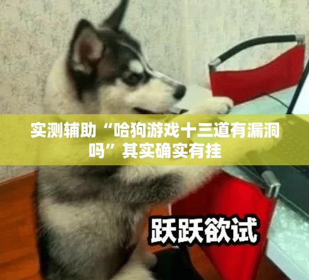 实测辅助“哈狗游戏十三道有漏洞吗”其实确实有挂