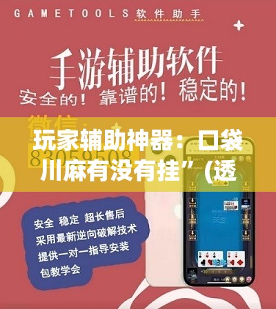 玩家辅助神器：口袋川麻有没有挂	”(透视)其实确实有挂