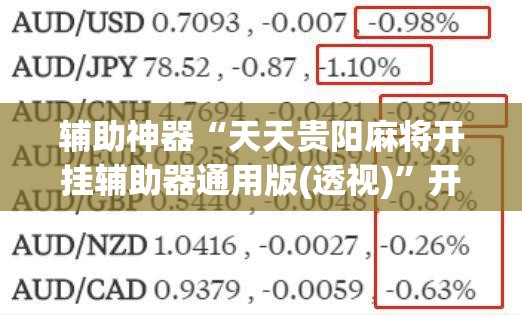 辅助神器“天天贵阳麻将开挂辅助器通用版(透视)”开挂辅助脚本+详细开挂安装教程