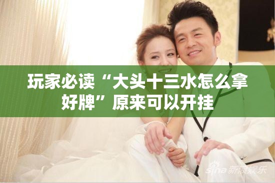 玩家必读“大头十三水怎么拿好牌	”原来可以开挂
