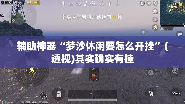 辅助神器“梦沙休闲要怎么开挂”(透视)其实确实有挂