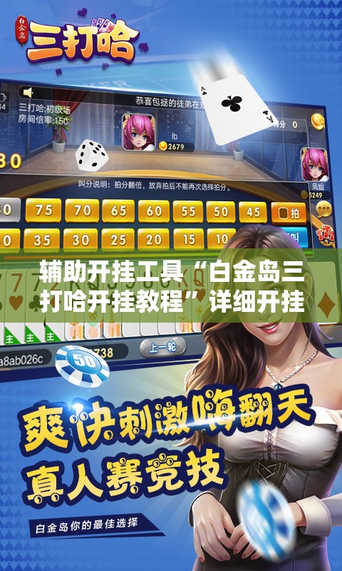 辅助开挂工具“白金岛三打哈开挂教程”详细开挂教程