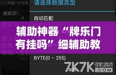 辅助神器“牌乐门有挂吗	”细辅助教程分享