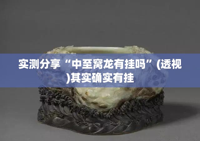 实测分享“中至窝龙有挂吗”(透视)其实确实有挂