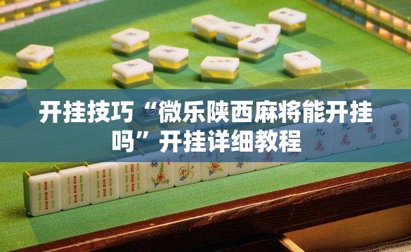 开挂技巧“微乐陕西麻将能开挂吗	”开挂详细教程