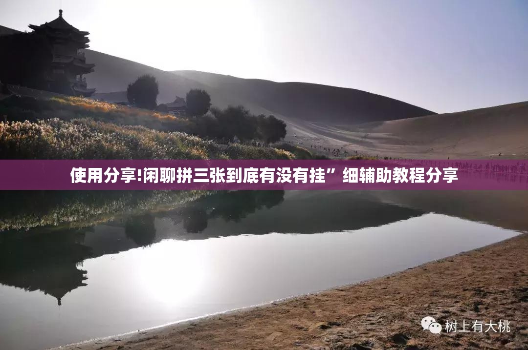 使用分享!闲聊拼三张到底有没有挂	”细辅助教程分享