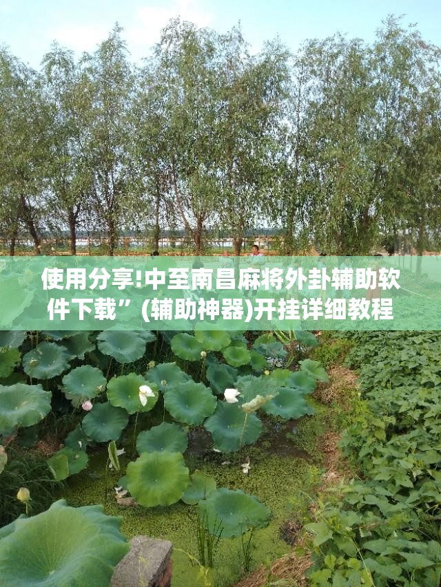 使用分享!中至南昌麻将外卦辅助软件下载”(辅助神器)开挂详细教程
