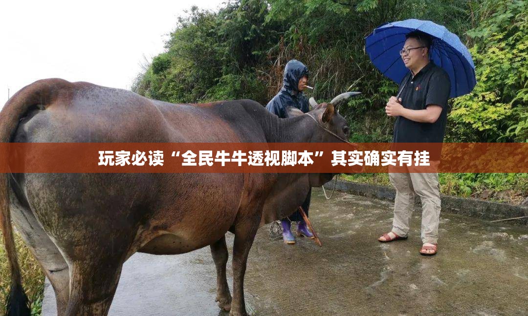 玩家必读“全民牛牛透视脚本”其实确实有挂