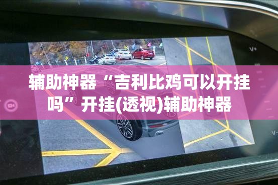 辅助神器“吉利比鸡可以开挂吗”开挂(透视)辅助神器