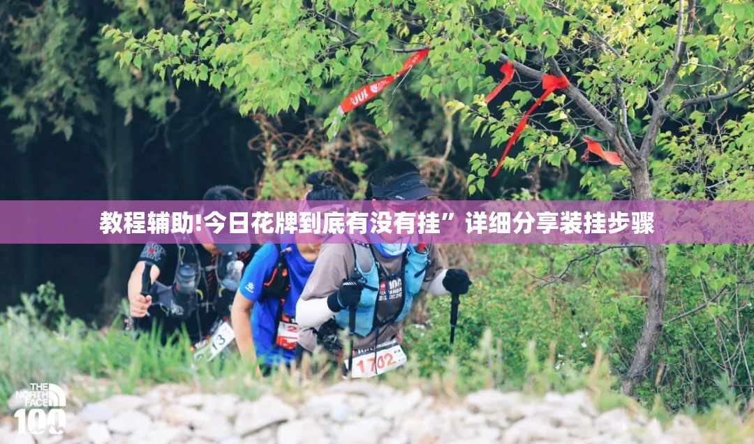 教程辅助!今日花牌到底有没有挂”详细分享装挂步骤