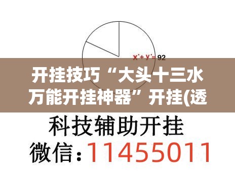 开挂技巧“大头十三水万能开挂神器”开挂(透视)最新辅助详细