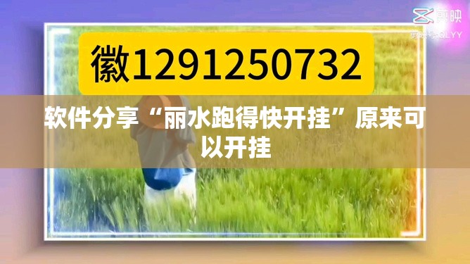 软件分享“丽水跑得快开挂	”原来可以开挂