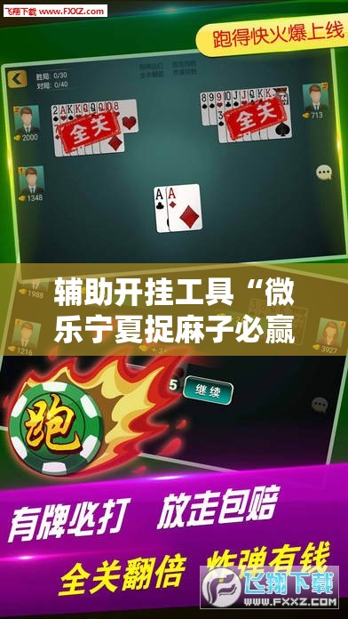 辅助开挂工具“微乐宁夏捉麻子必赢神器	”开挂辅助脚本+详细开挂安装教程