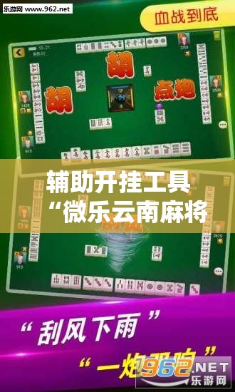 辅助开挂工具“微乐云南麻将怎么开挂”详细开挂教程