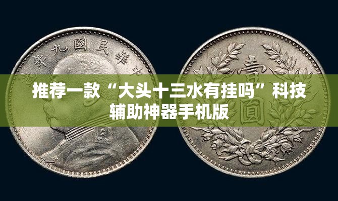 推荐一款“大头十三水有挂吗”科技辅助神器手机版