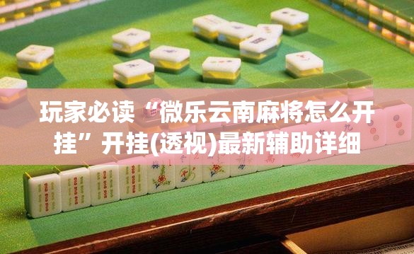 玩家必读“微乐云南麻将怎么开挂”开挂(透视)最新辅助详细