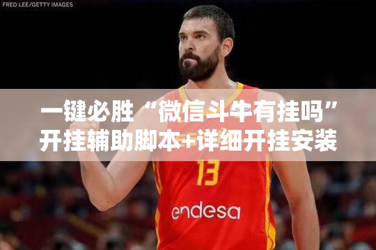 一键必胜“微信斗牛有挂吗”开挂辅助脚本+详细开挂安装教程