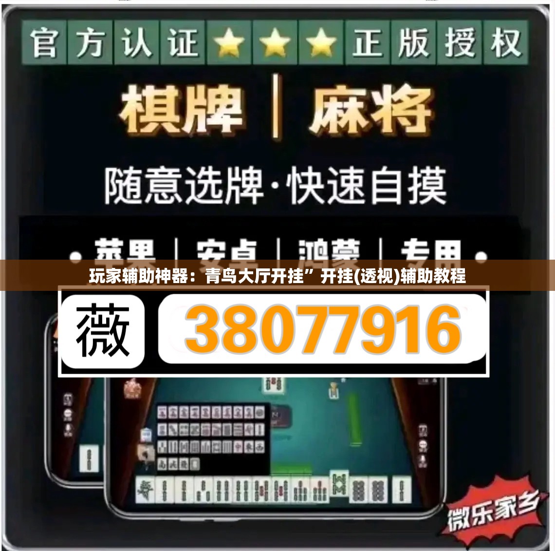 玩家辅助神器：青鸟大厅开挂	”开挂(透视)辅助教程