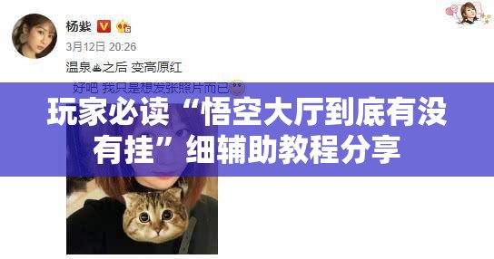 玩家必读“悟空大厅到底有没有挂”细辅助教程分享