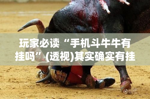 玩家必读“手机斗牛牛有挂吗”(透视)其实确实有挂