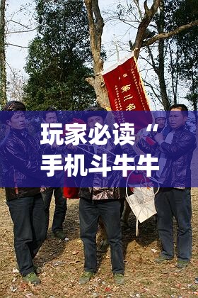 玩家必读“手机斗牛牛有挂吗”(透视)其实确实有挂