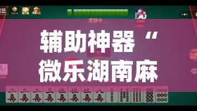 辅助神器“微乐湖南麻将小程序必赢神器免费	”其实确实有挂