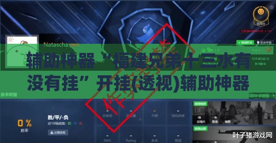 辅助神器“福建兄弟十三水有没有挂	”开挂(透视)辅助神器