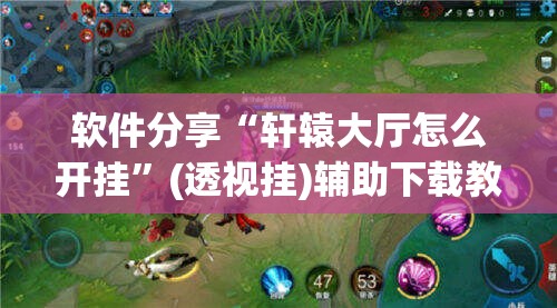 软件分享“轩辕大厅怎么开挂”(透视挂)辅助下载教程